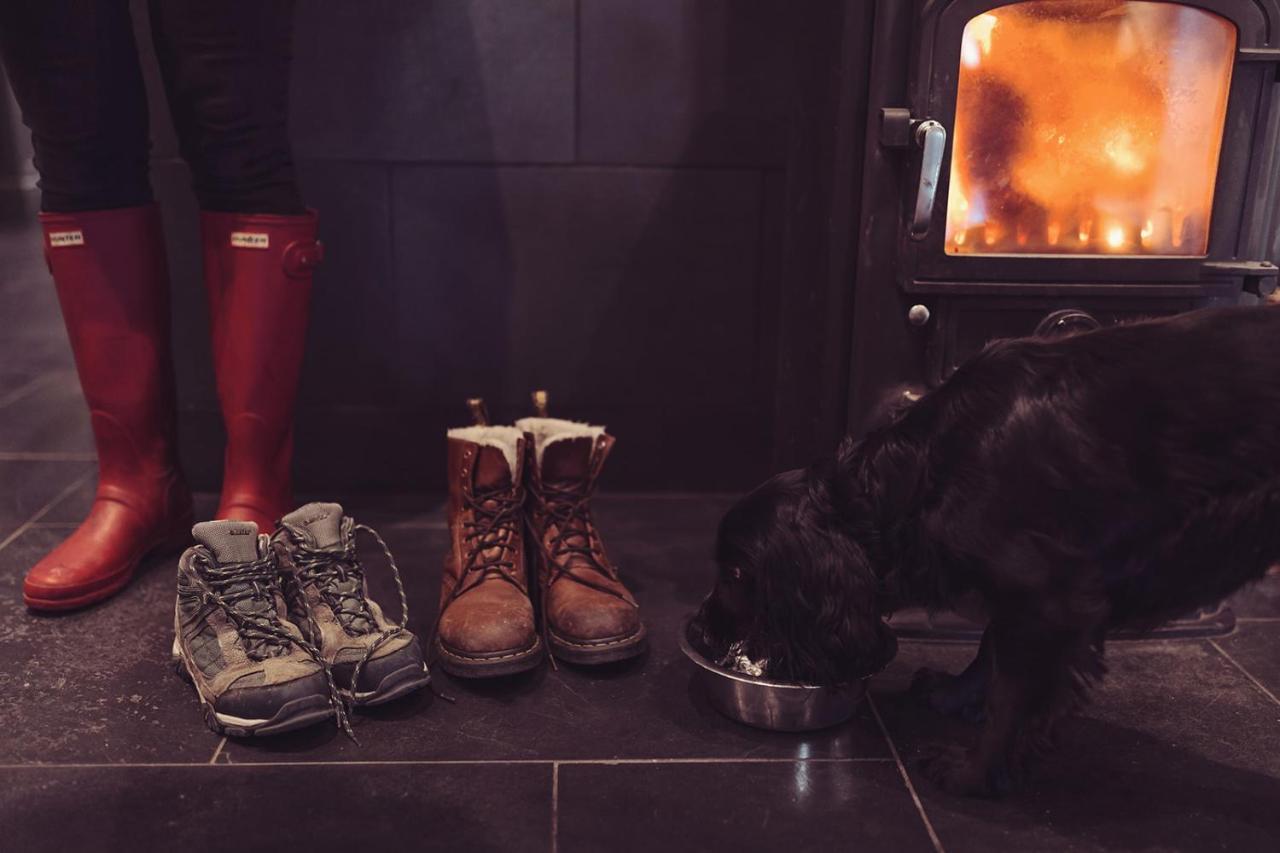 Longlands Inn & Cottages Carnforth Exterior photo A dog in front of a wood burning stove